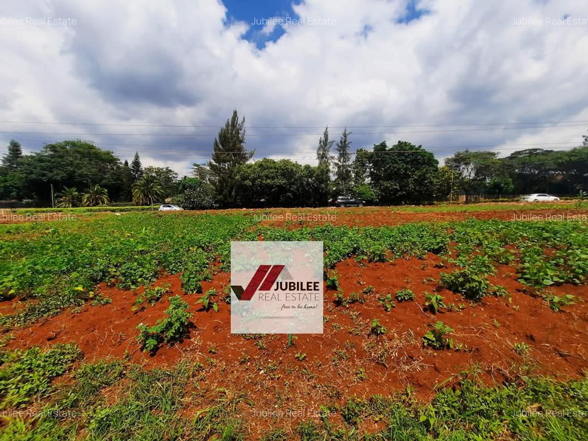 2 ac Commercial Property at Red Hill Road - 4