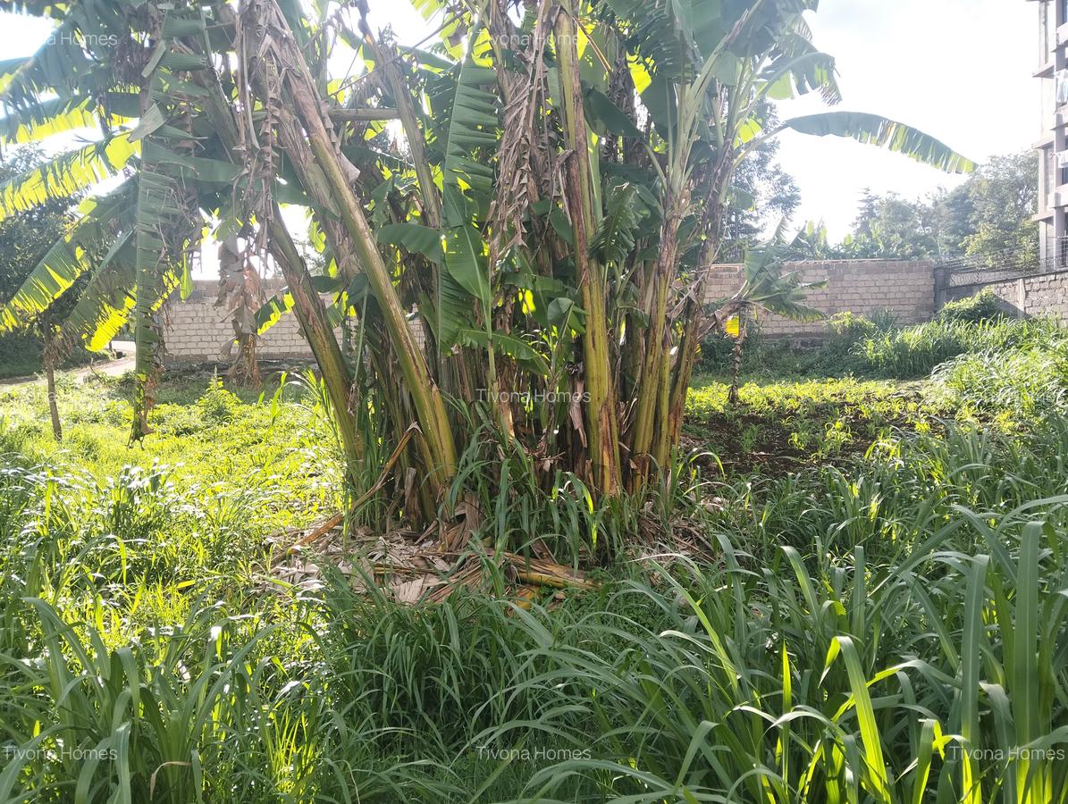 0.25 ac Land in Kikuyu Town - 1