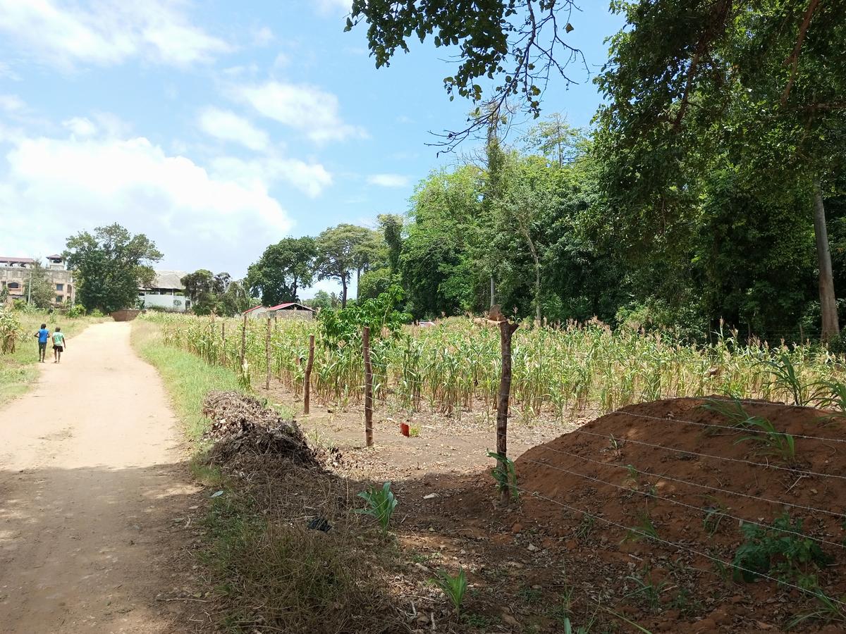 0.05 ha Residential Land at Mtwapa Mtwapa - 10