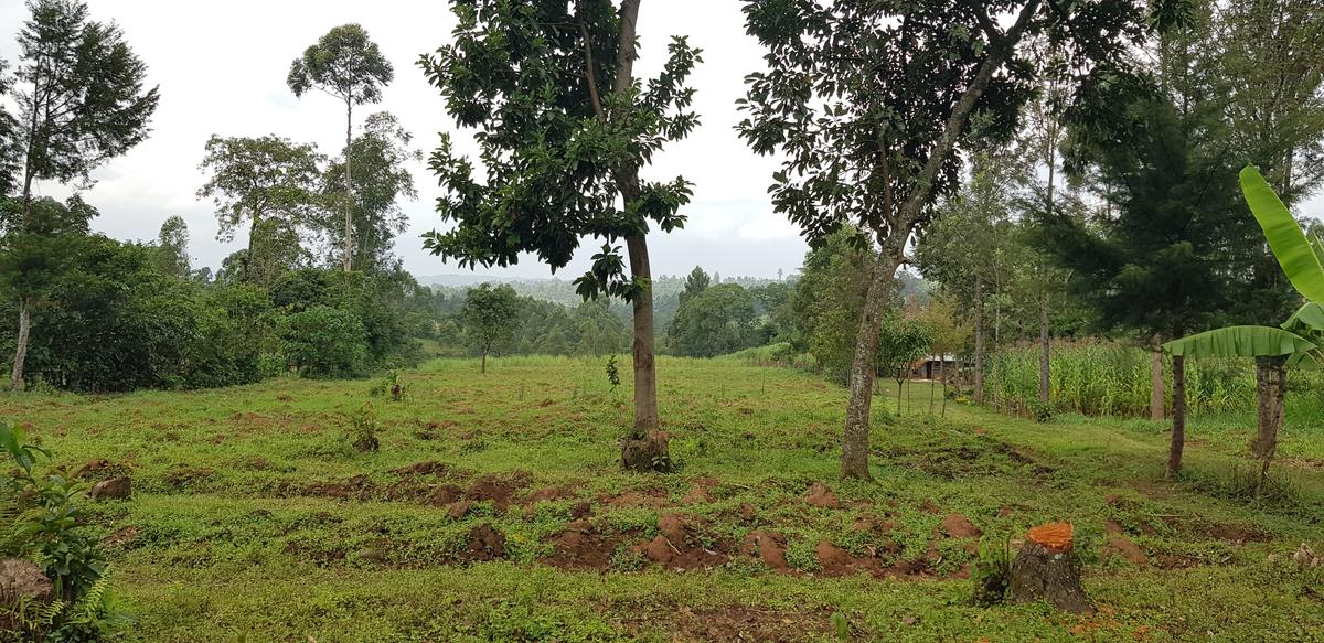 Residential Land at Mokoyot Close - 13