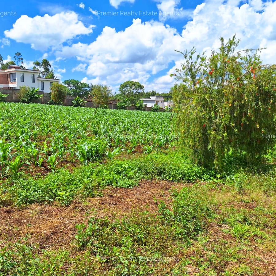 1 ac Residential Land at Tigoni - 1