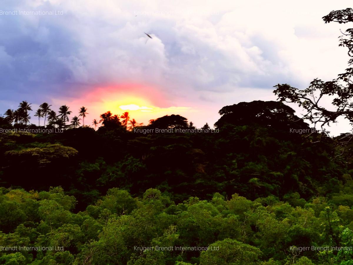 10 ac Land at Chumani - 5