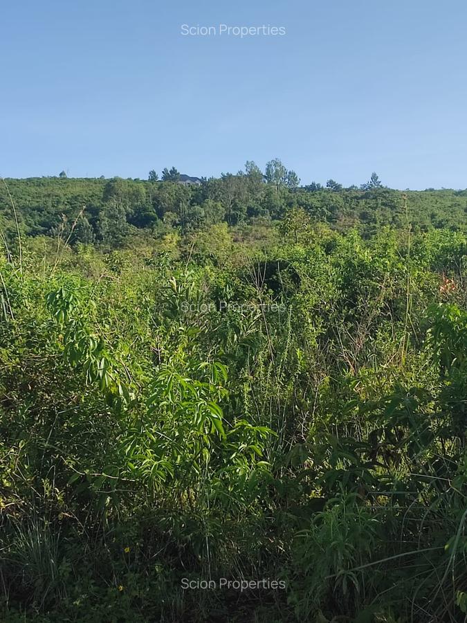 0.125 ac Land at Riat - 5