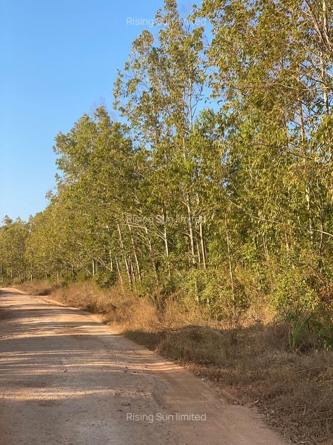 100 ac Land at Funzi Island. Ukunda - 6