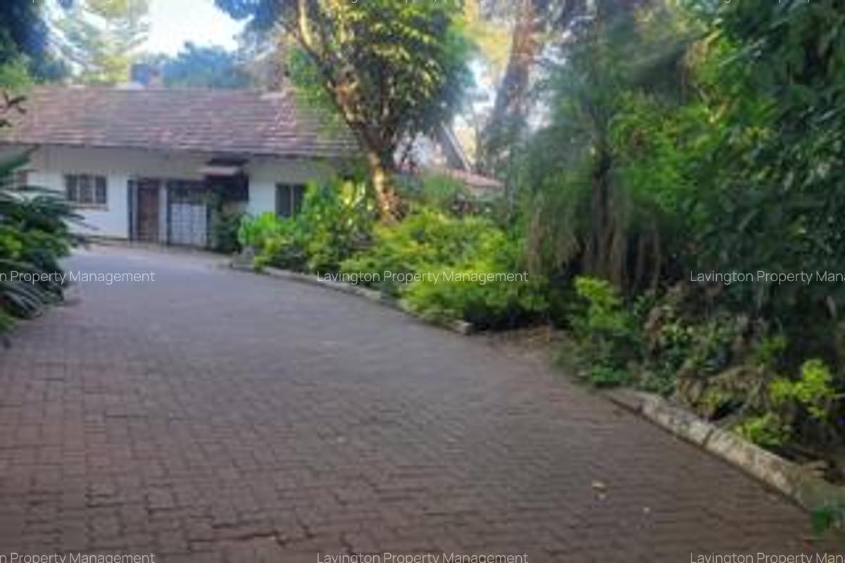 1.2 ac Land at Mageta Road - 2