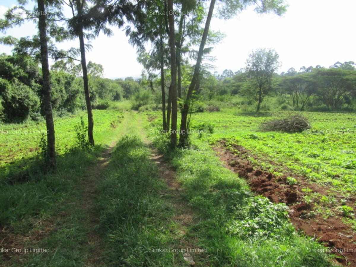 Residential Land at Ololua Ridge - 9