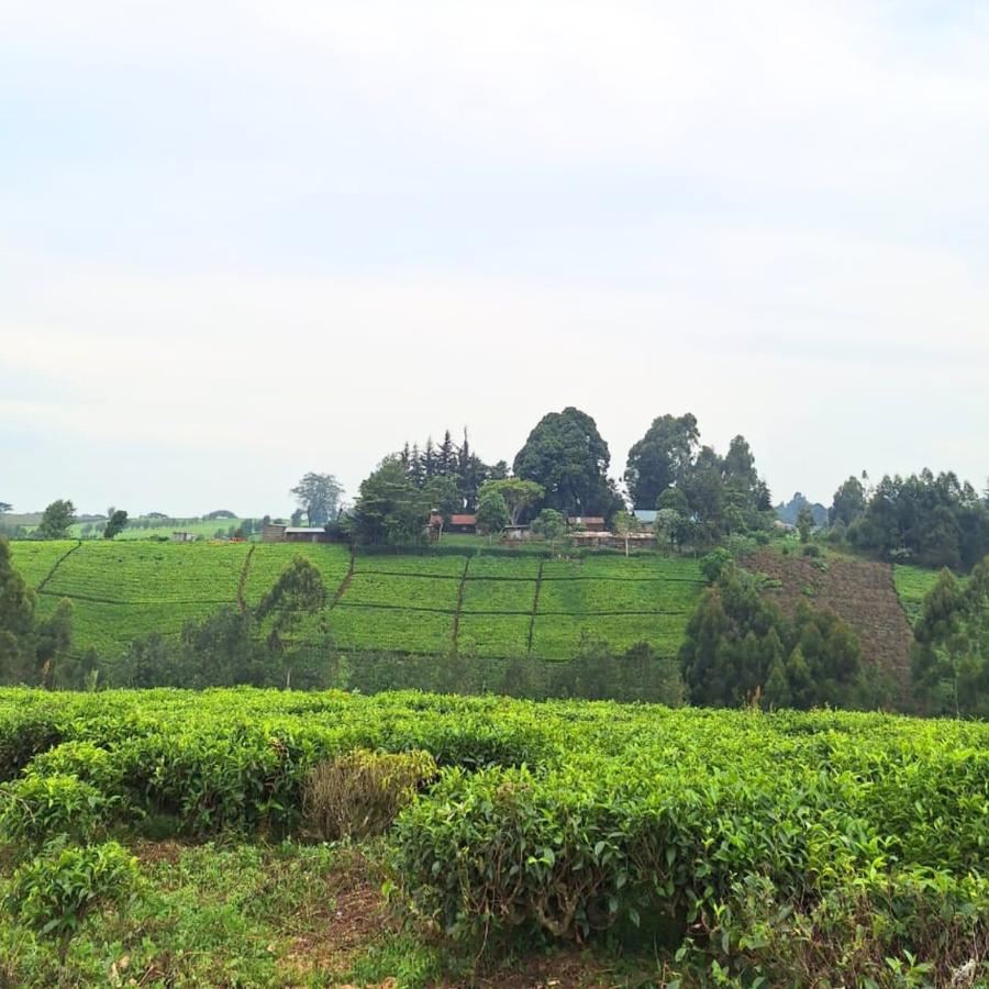 1 ac Residential Land at Riara Ridge - 7