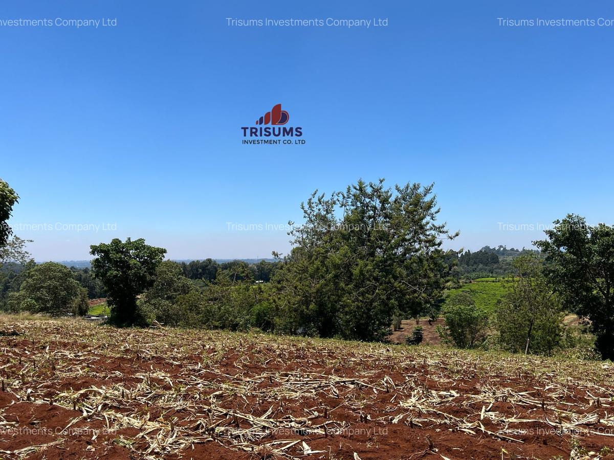 1.5 ac Land in Tigoni - 11