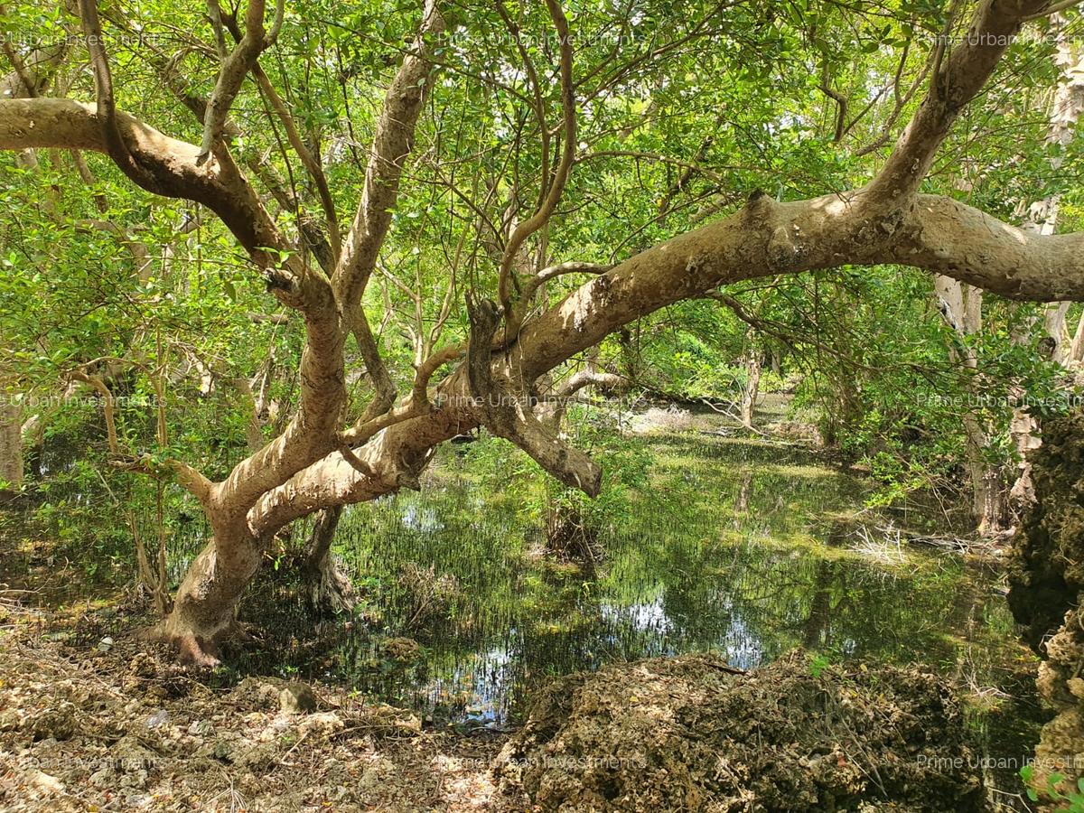 7 ac Land in Watamu - 4