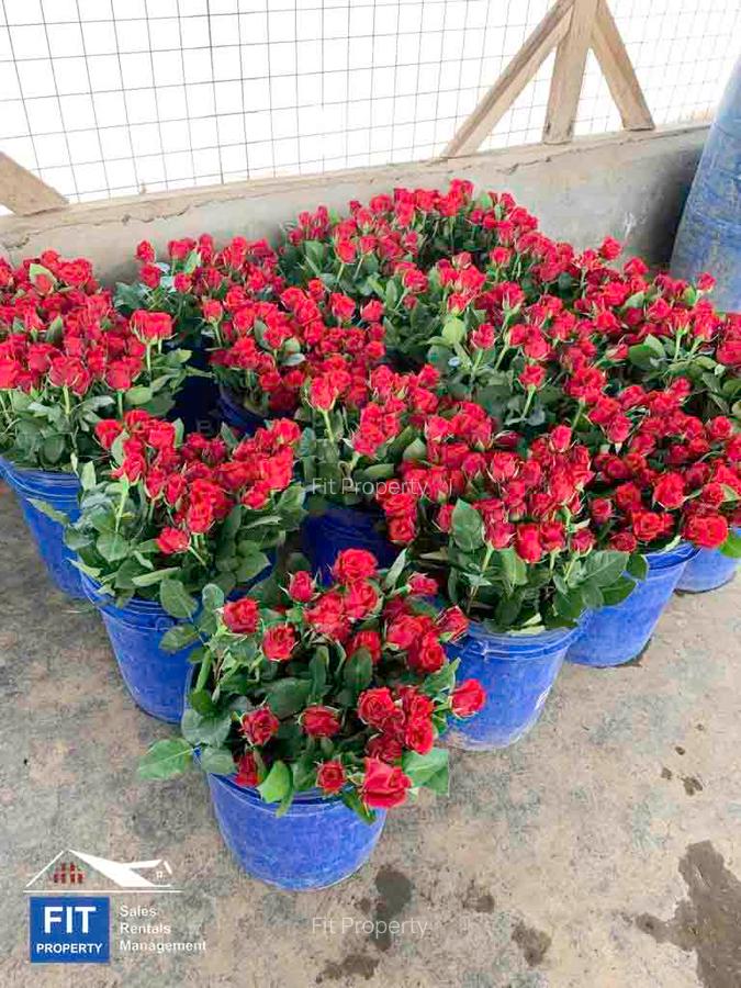 120 ac Land at Nyandarua County - 10