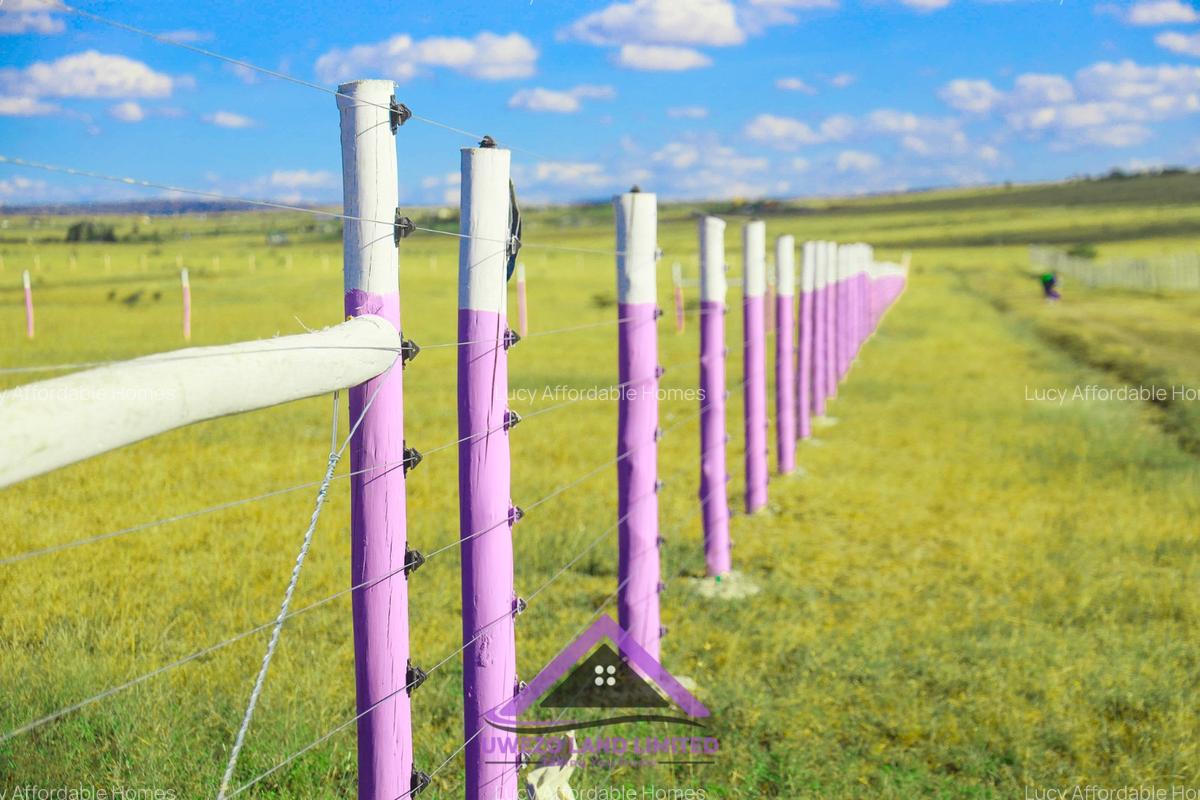 0.125 ac Land at Joska - 11