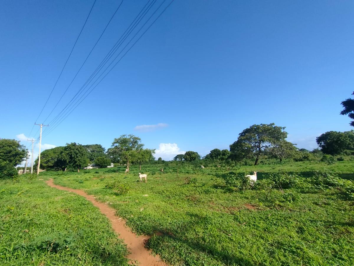 Residential Land at Mtondia Kilifi - 1