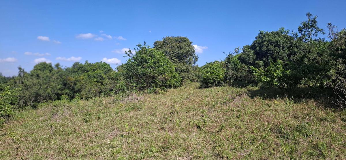 Land in Ngong - 11