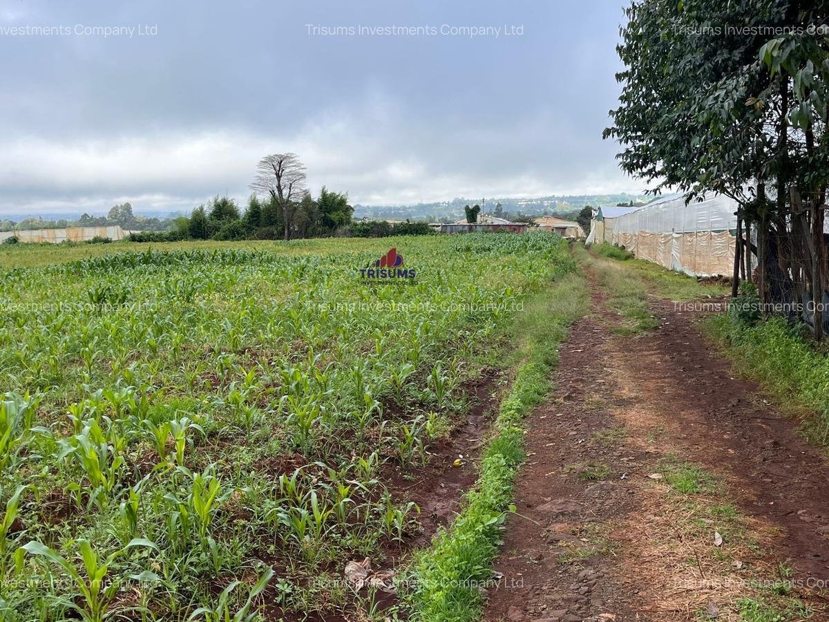 3.7 ac Land at Kiambu - 5