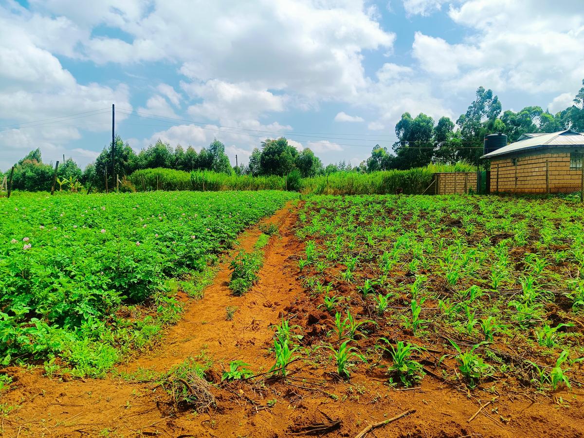 500 m² Residential Land at Ngamba - 4