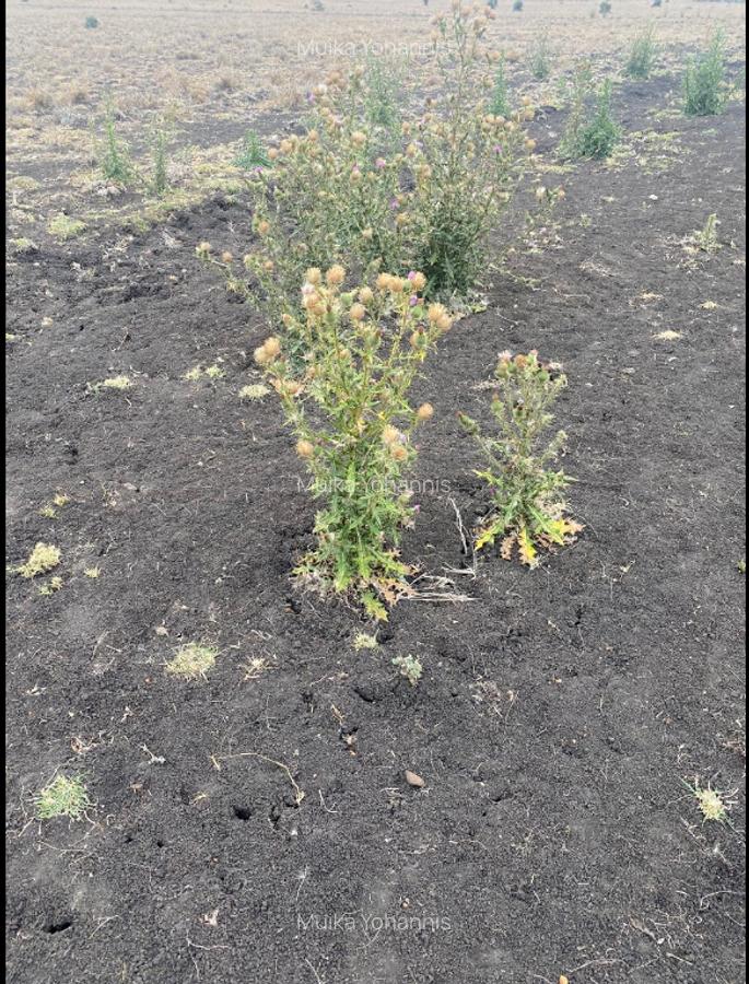 5 ac Land in Isinya - 3