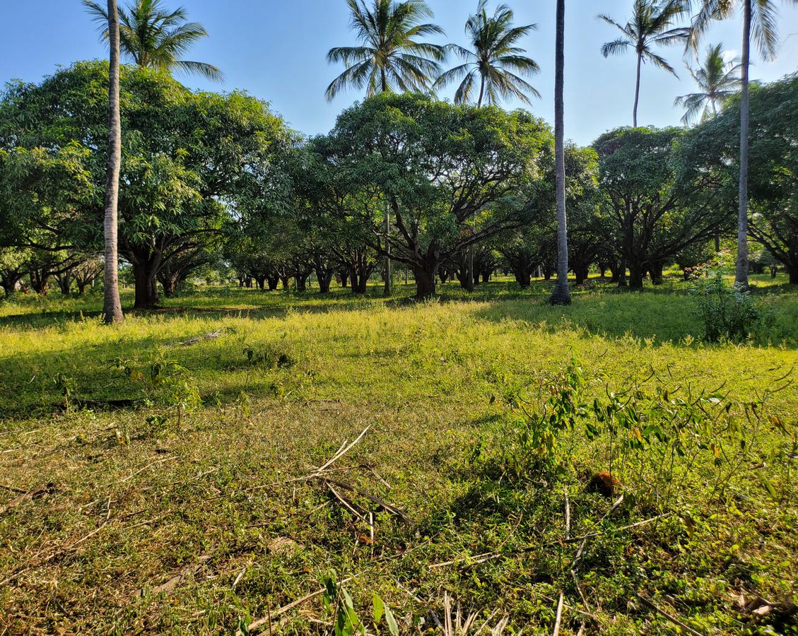 Residential Land in Nyali Area - 15