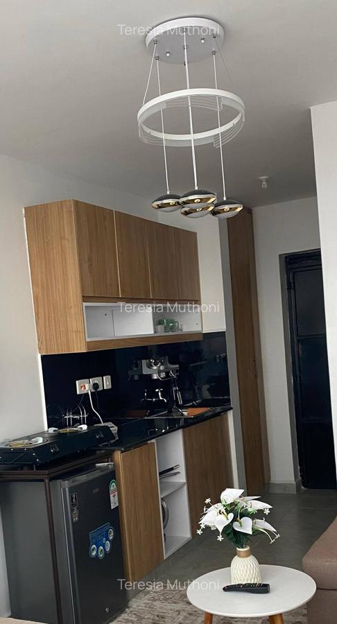 Furnished Studio Apartment with Borehole at Fedha Road - 3