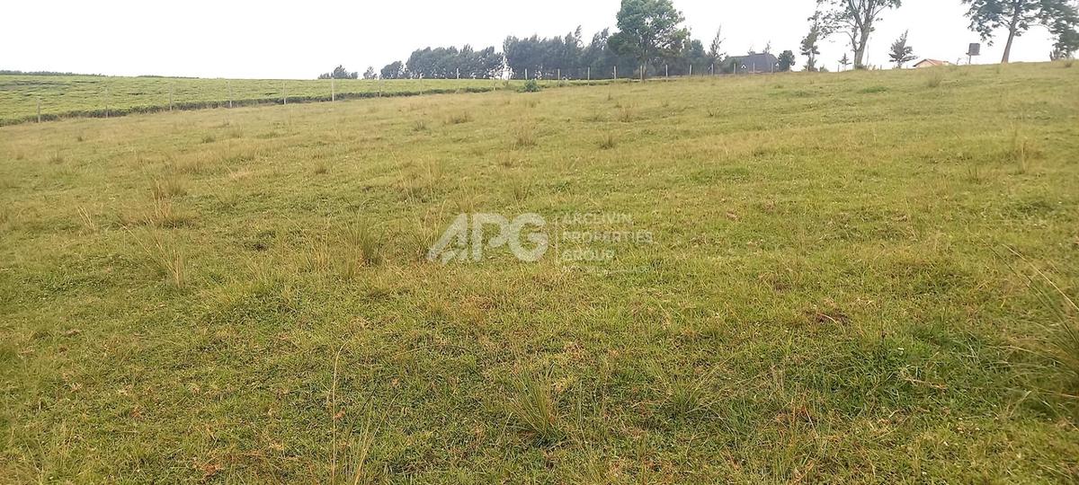 21 ac Land at Kiambu - Limuru Rd - 1