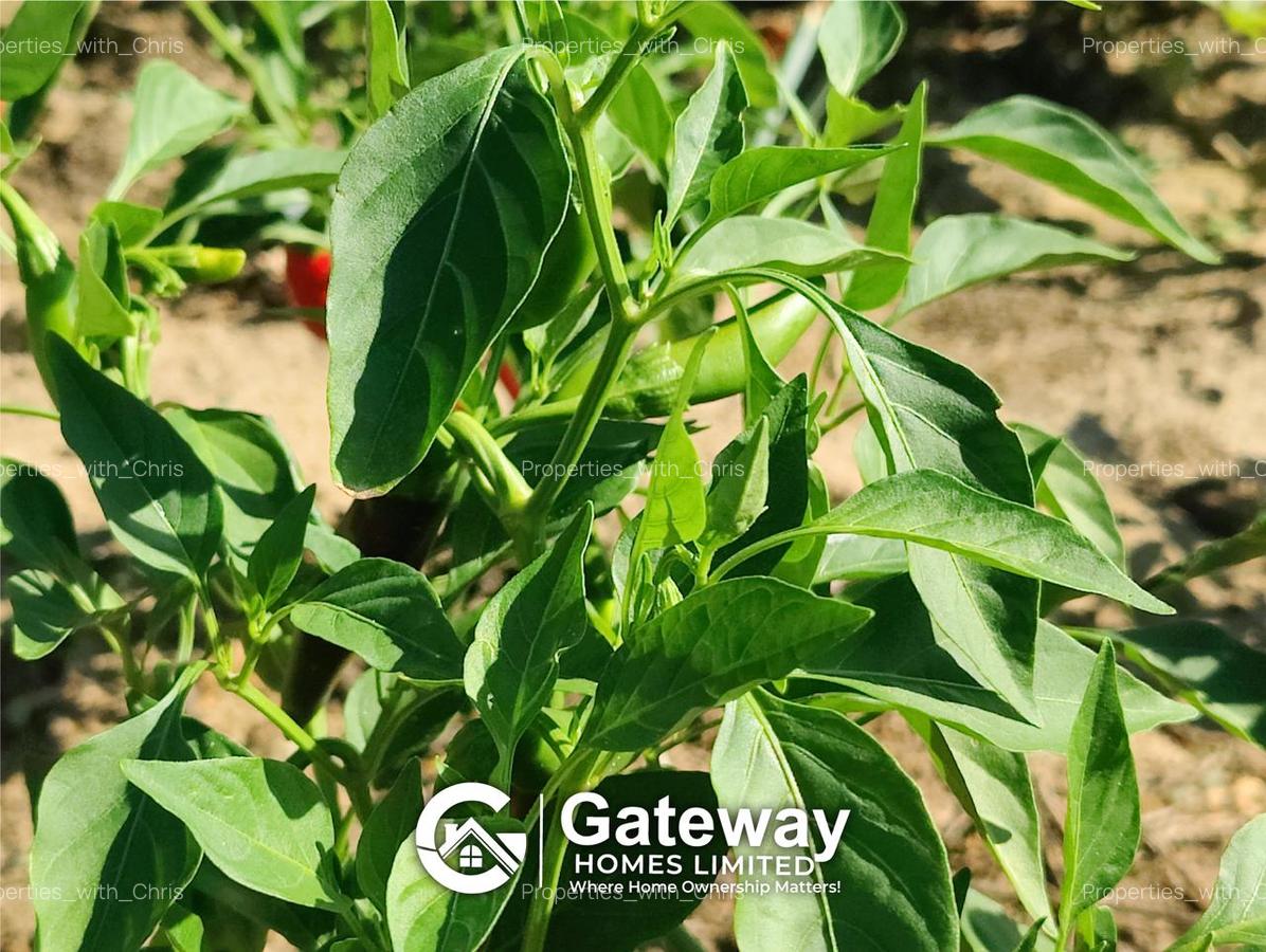 1 ac Land in Malindi - 3