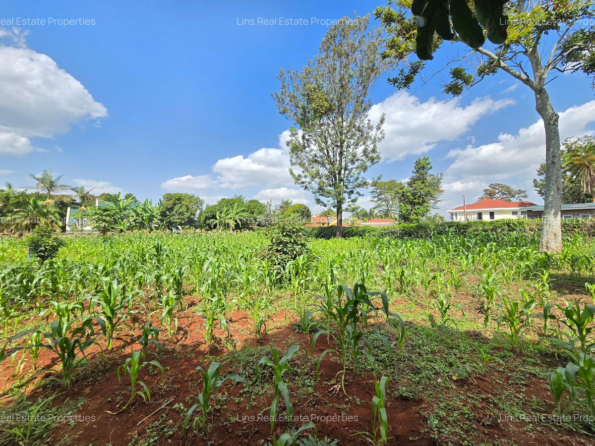 Residential Land in Runda - 1