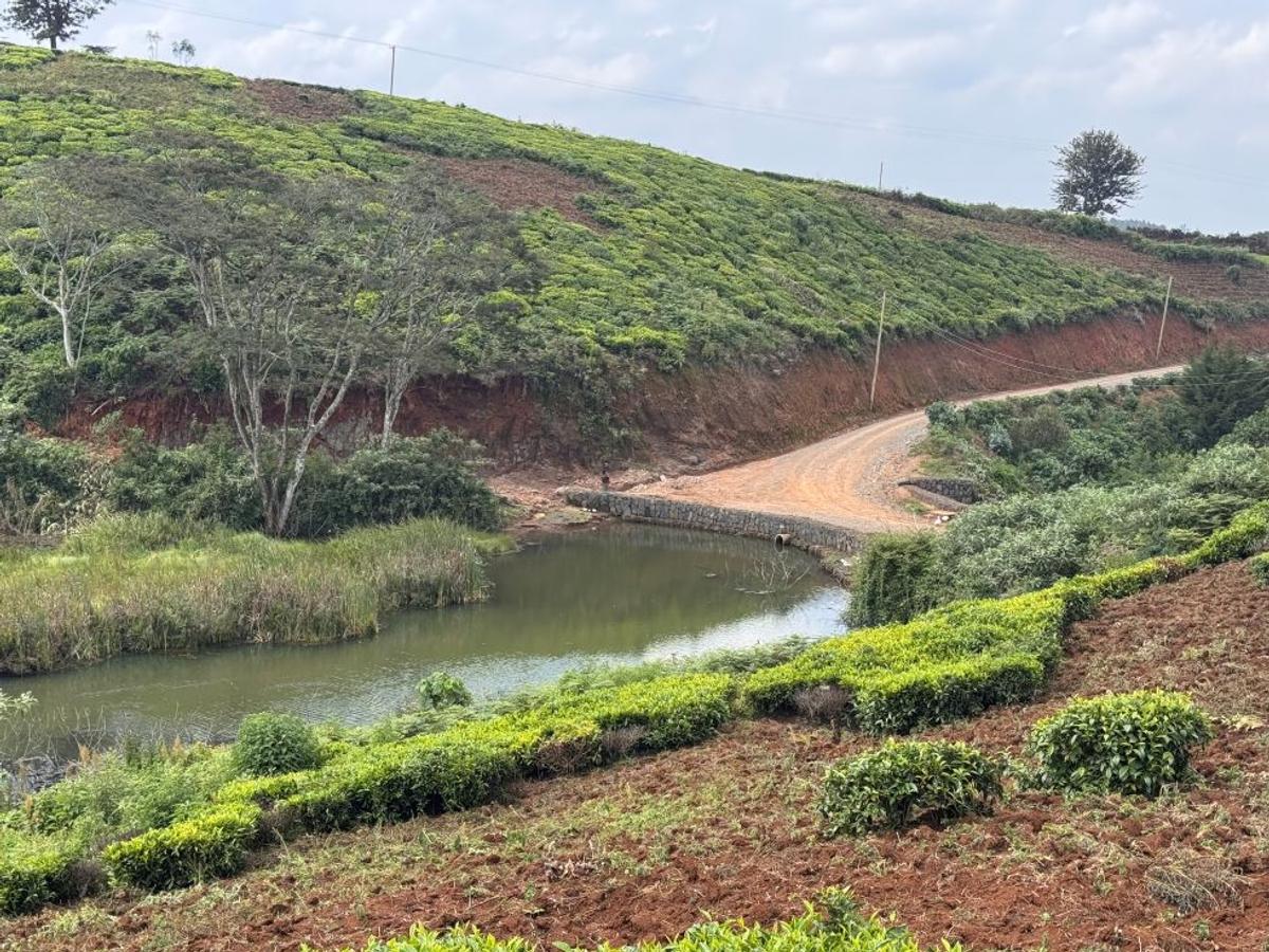 RIVERSPRINGS ESTATE TIGON in Tigoni, Kiambu County - 7