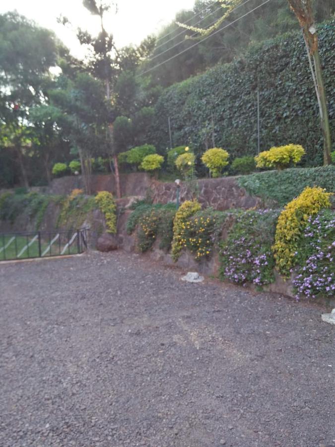 Commercial Property with Parking in Karen - 4