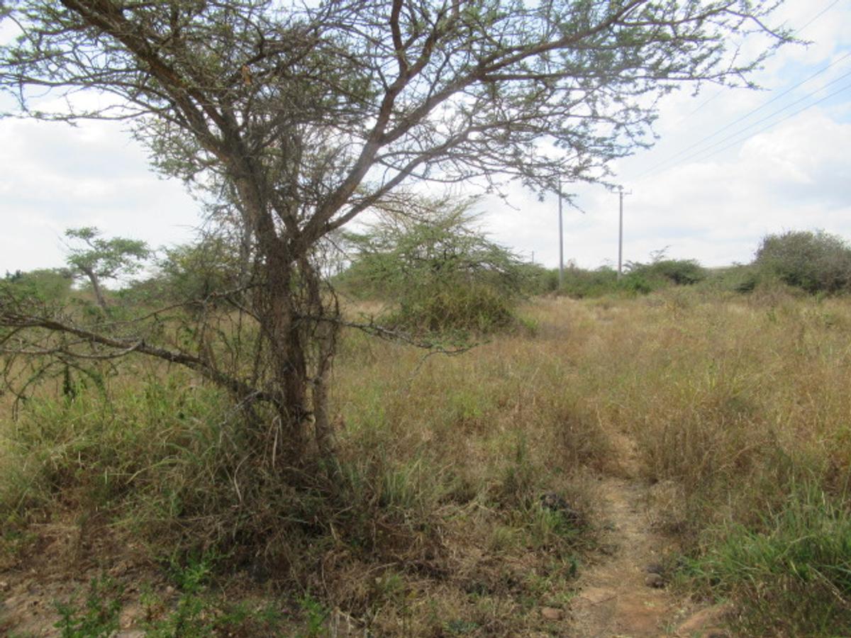 Commercial Land at Maanzoni - 10