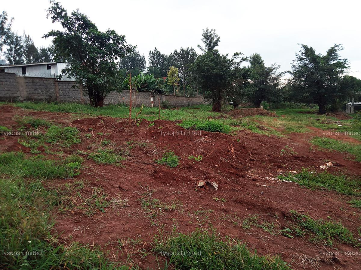 Land in Thindigua - 3