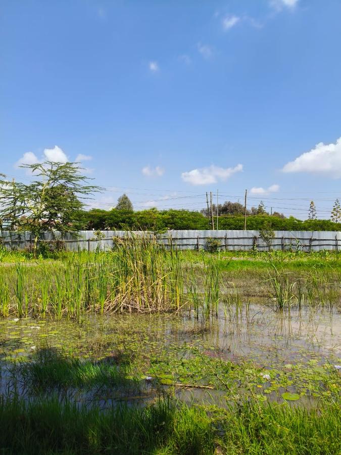 Residential Land at Karen - 14