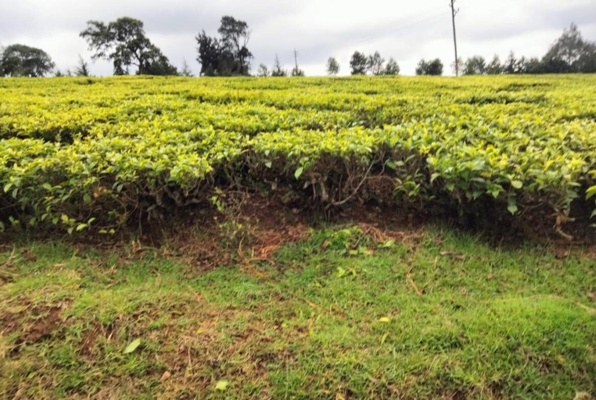 Land at Kiambu - 5