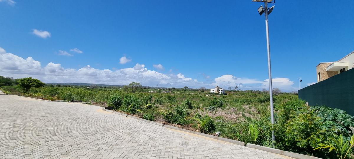 Land at Vipingo - 12