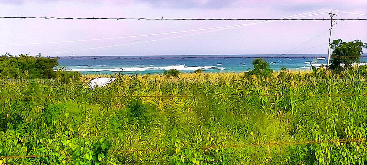 Land in Kikambala - 15