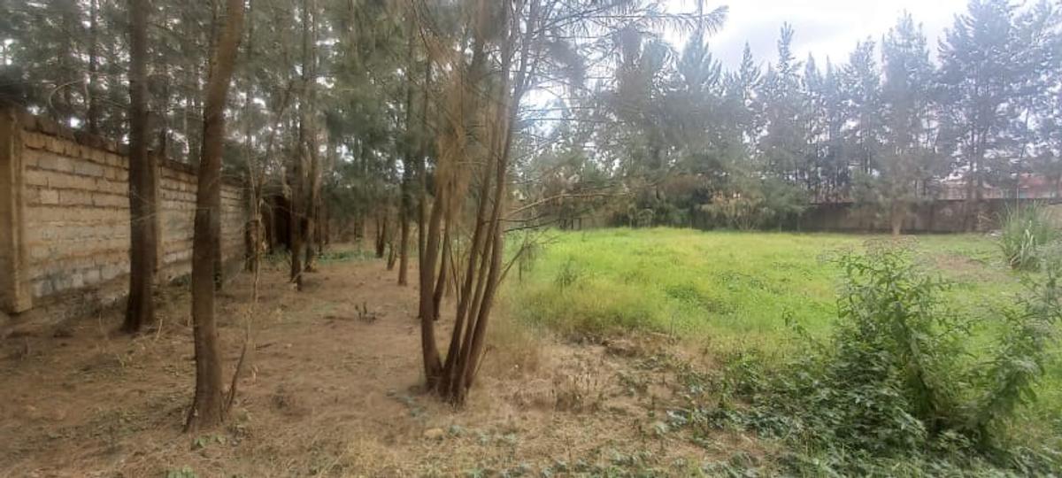 0.5 ac Commercial Land at Njathaini Rd - 12