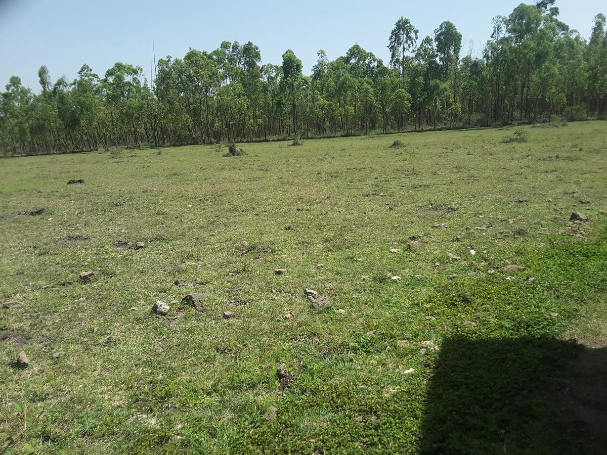 2 ac Residential Land in Ongata Rongai - 10