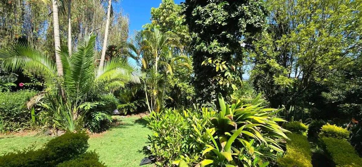 5 Bed House with En Suite in Loresho - 4