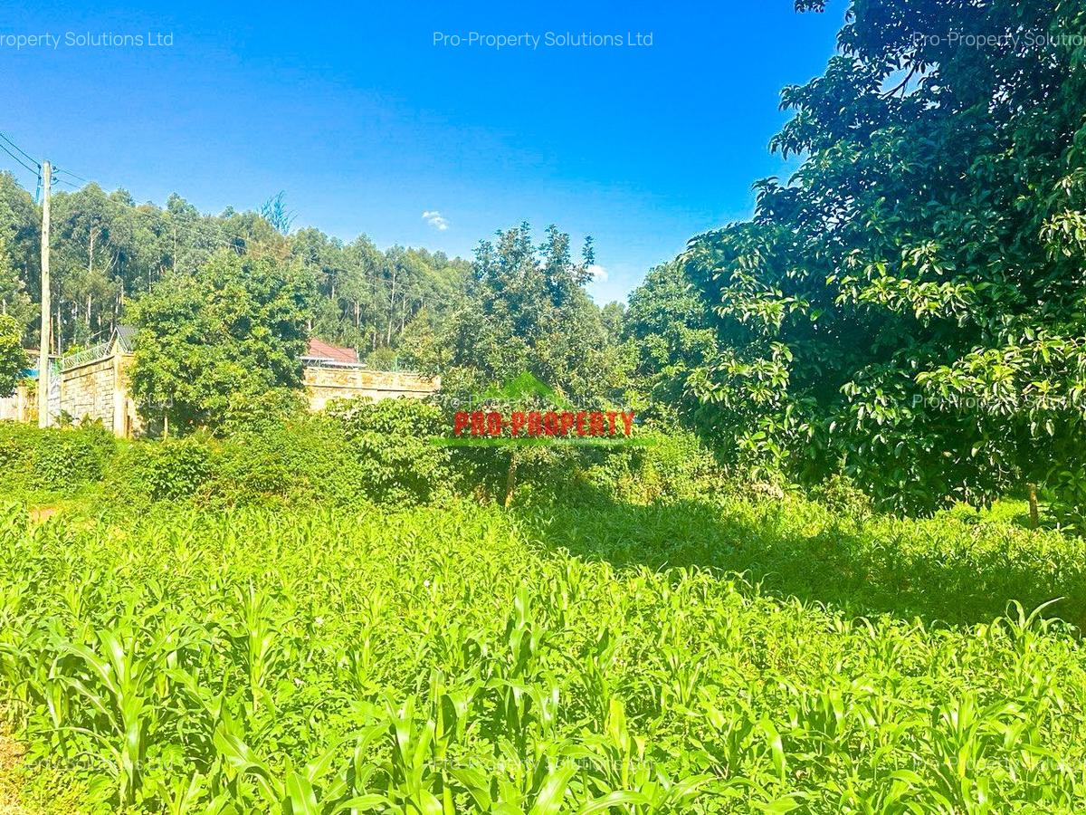 0.05 ha Residential Land at Gikambura - 10