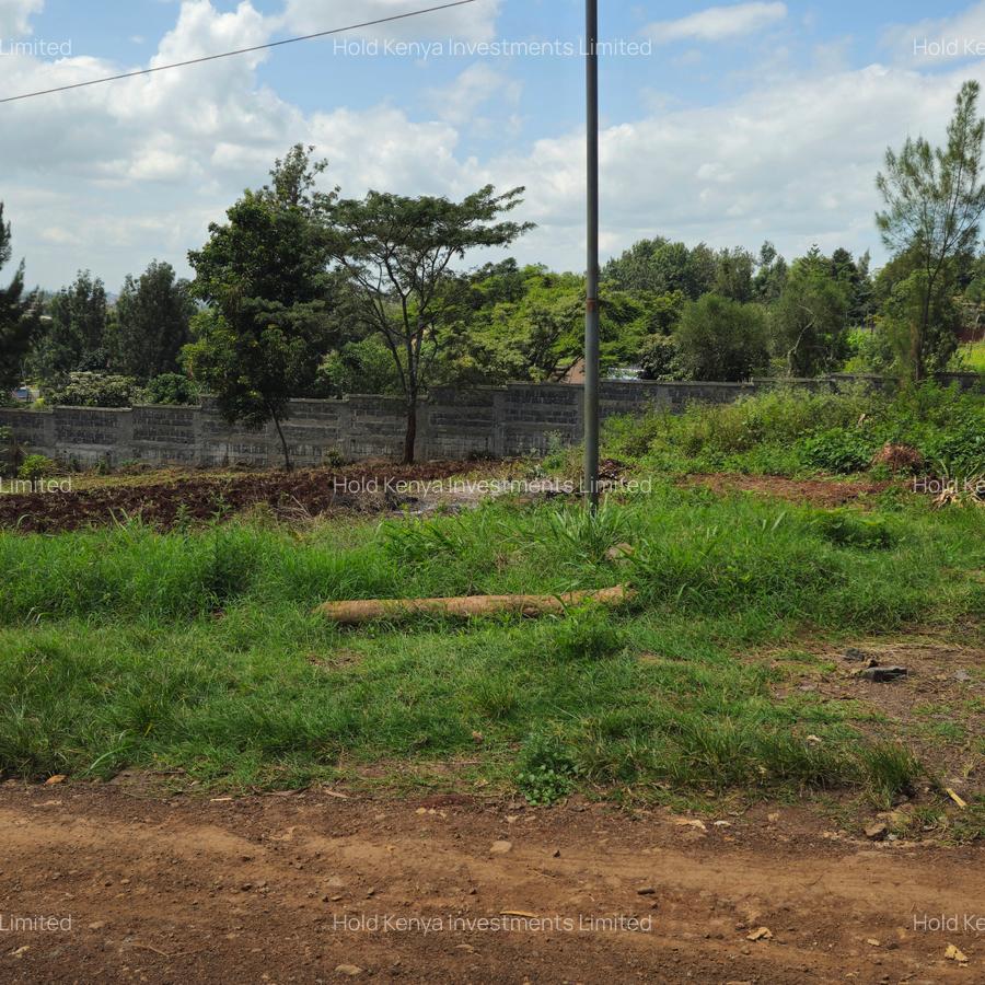 0.5 ac Land in Thome - 6