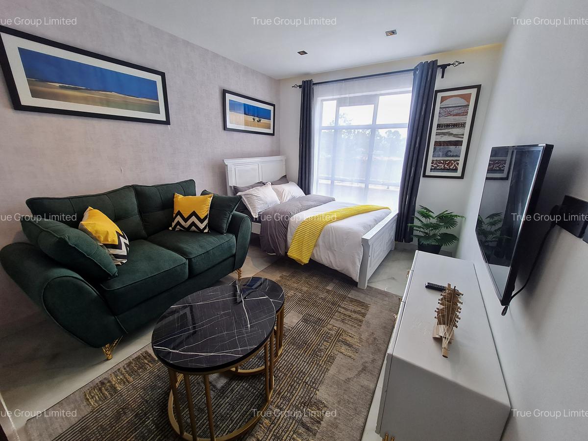 Serviced Studio Apartment with Gym at Off Naivasha Road - 2