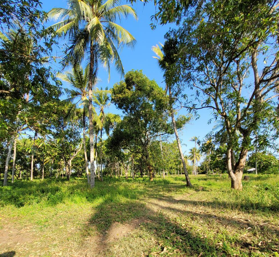 Residential Land in Nyali Area - 1