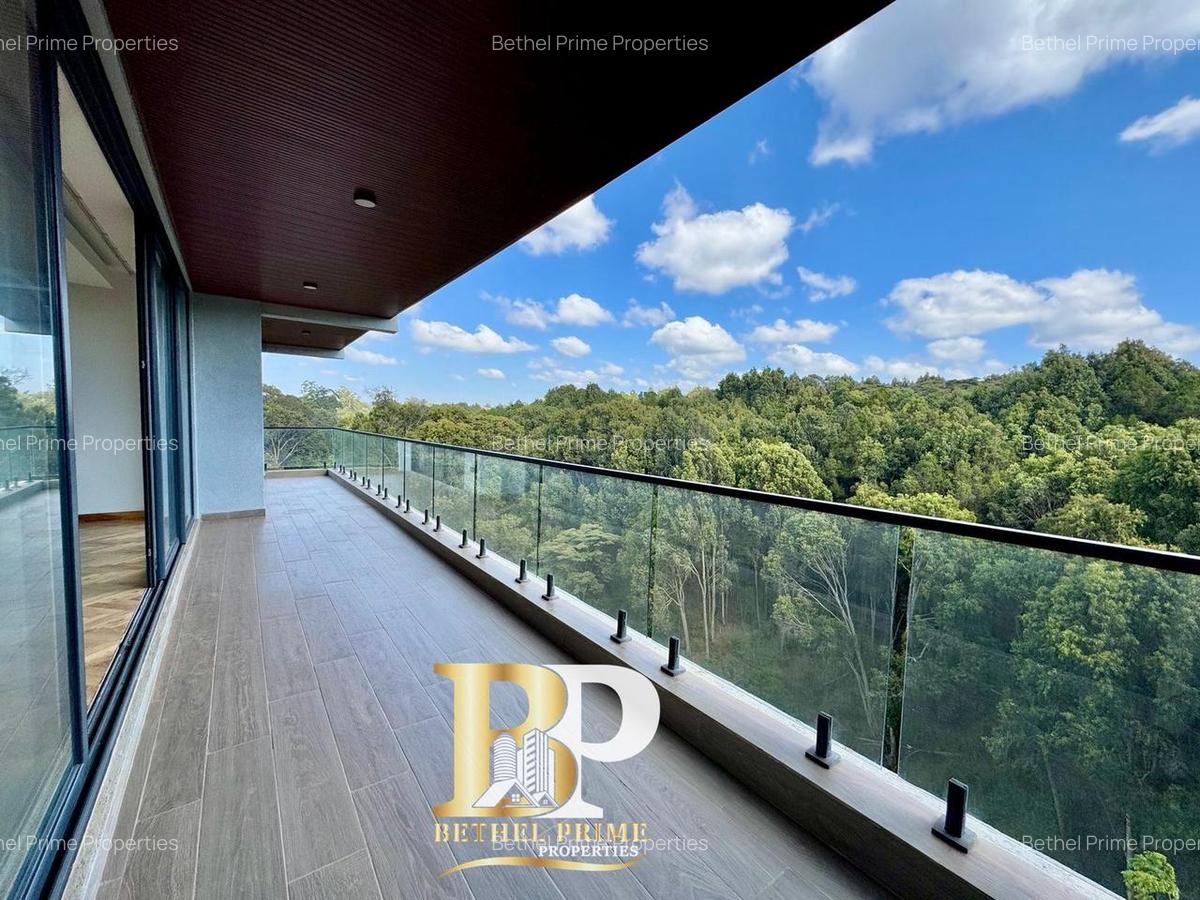 4 Bed Apartment with En Suite in Spring Valley - 6