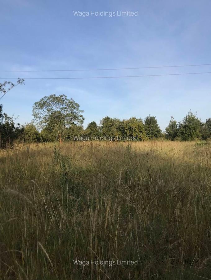 10,000 ft² Land at Phase 1 - 4