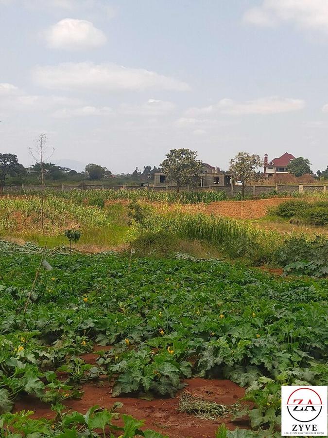 0.25 ac Land at Thika - 5