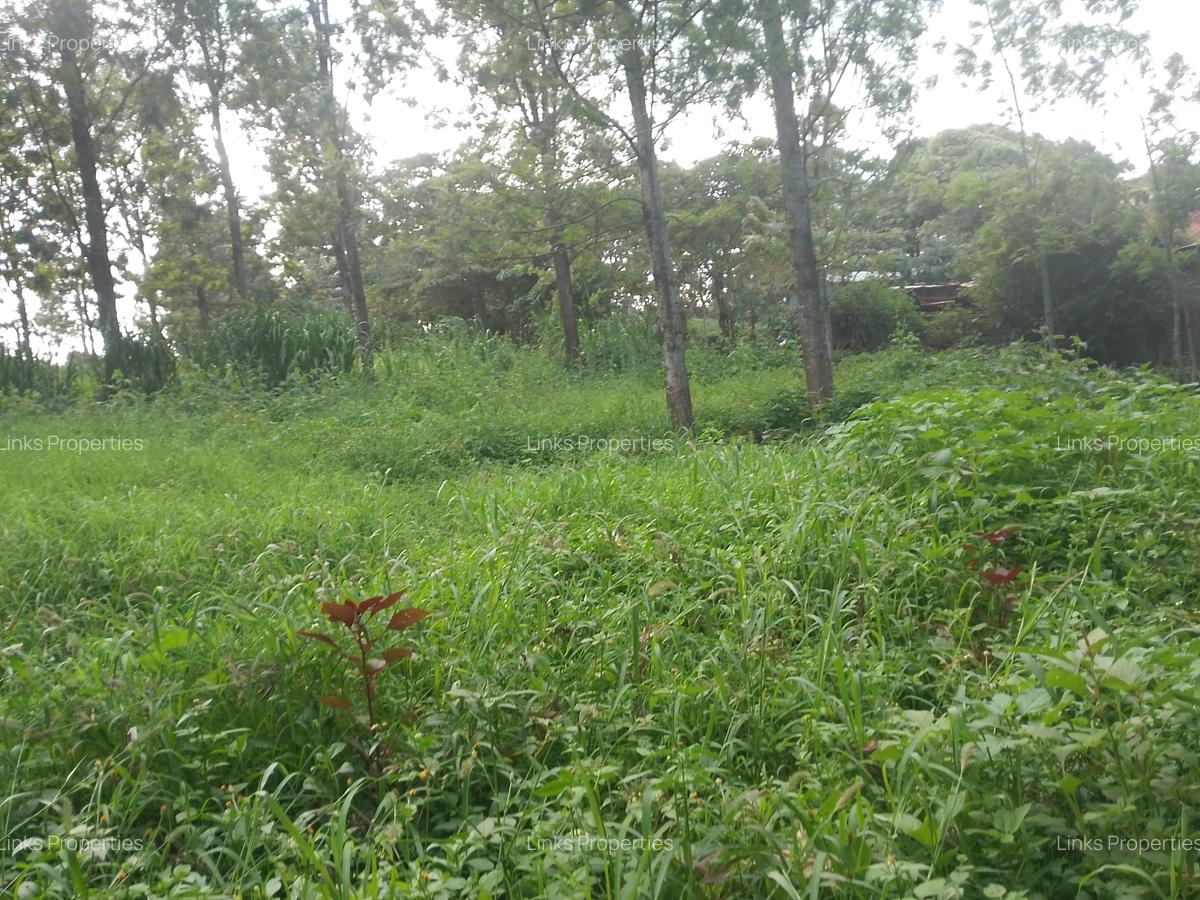 Land at Kibiko Ngong - 7