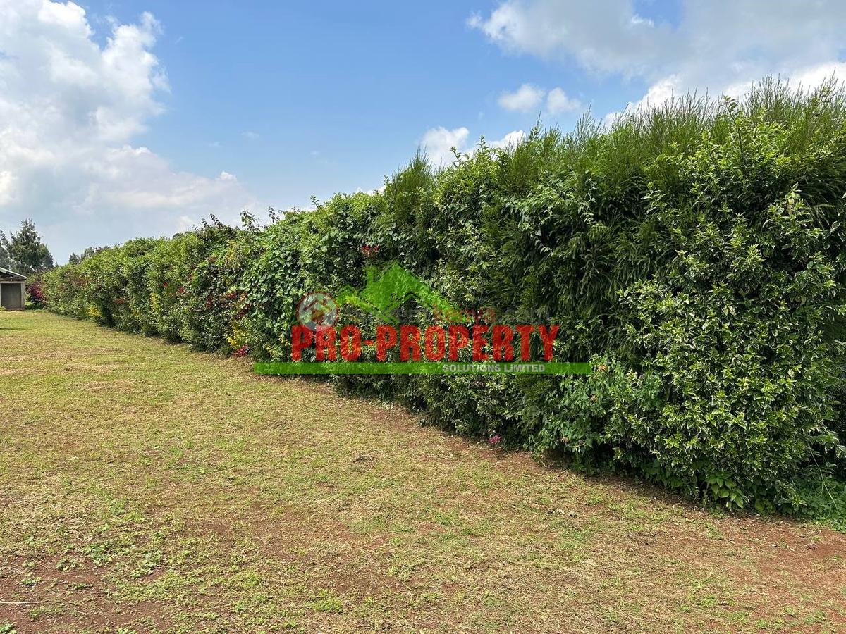 0.4 ha Land at Tilisi - 12