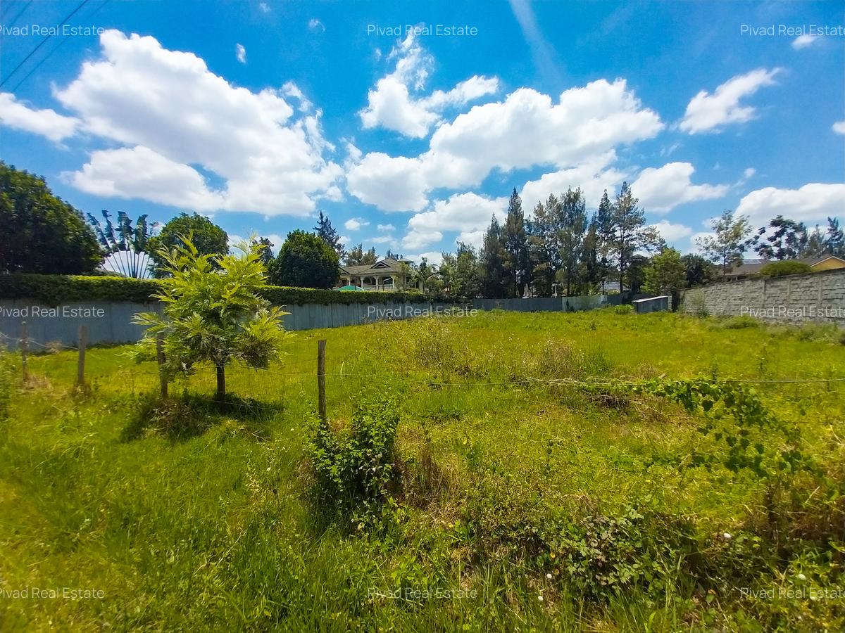 0.5 ac Land at Thome Stream Drive - 3