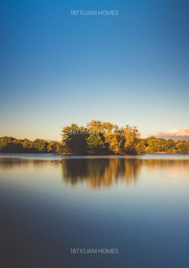 4 Bed Townhouse with En Suite at Tatu City - 15