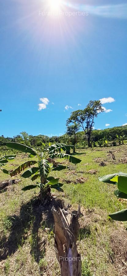 Land at Msambweni - 11