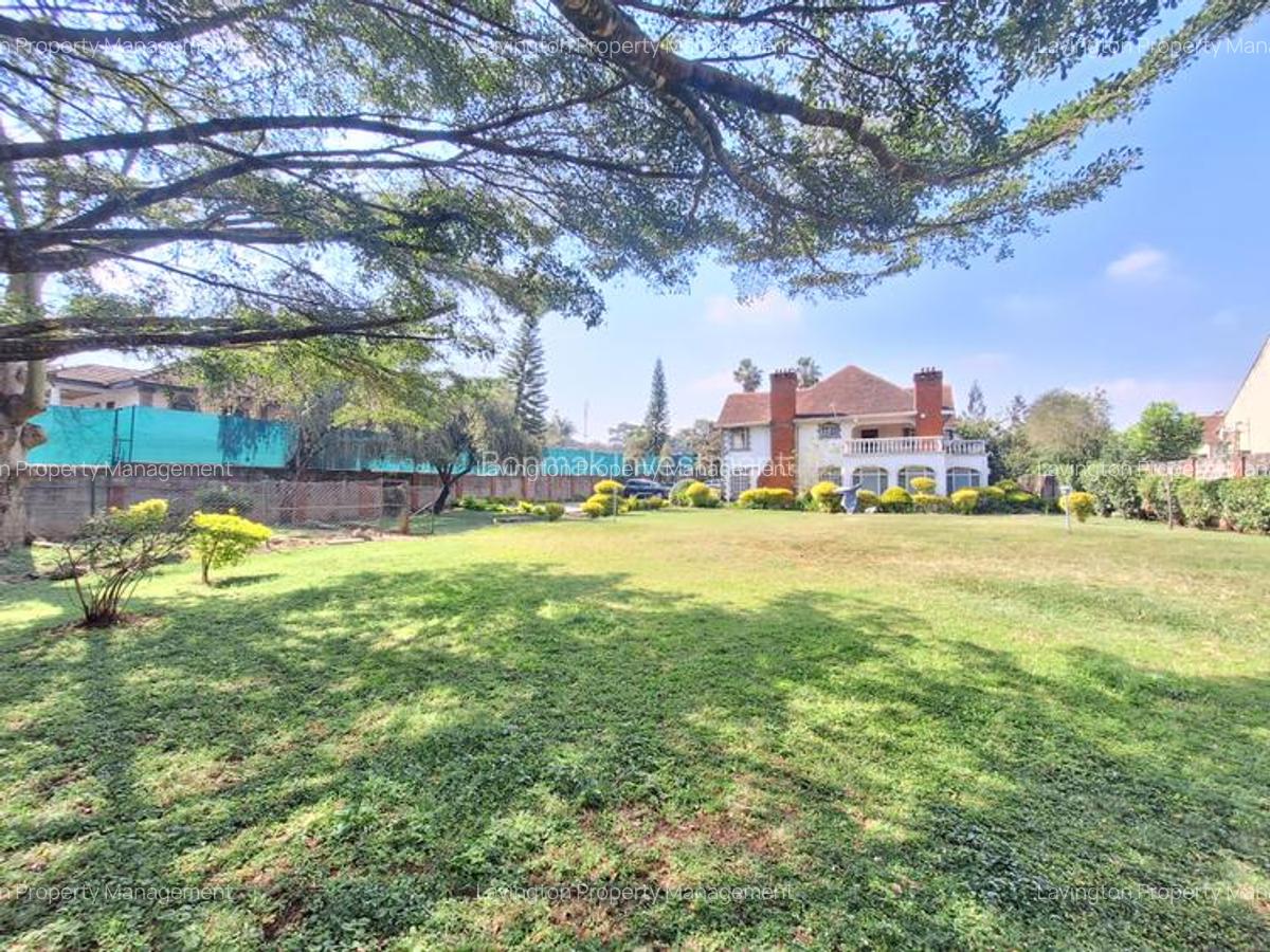 Commercial Property with Fibre Internet at Lavington Green - 2