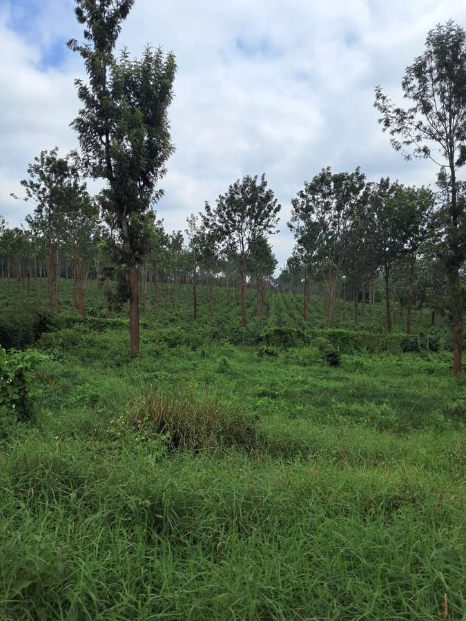 Residential Land at Githunguri -Ruiru - 13